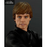 Star Wars Episode VI : Return of the Jedi, Figure Luke Skywalker, ARTFX +