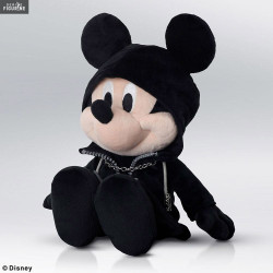 Disney, Kingdom Hearts...