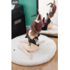 Original Character - Tale Bunny Aya figure Illustration by Kaito