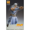 Fist of the North Star - Figurine Toki, S.A.S Chozokado