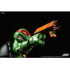 Teenage Mutant Ninja Turtles - Raphael figure