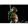 Teenage Mutant Ninja Turtles - Raphael figure