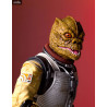 Star Wars - Bossk figure, Collectors Gallery