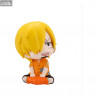 One Piece - Pack figurines Roronoa Zoro & Sanji Future Island Egghead, (with gift) Look Up