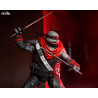 Les Tortues ninja (The Last Ronin The Lost Years) - Figurine Leonardo, Nightwatcher