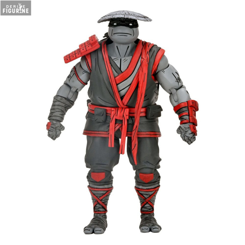 Teenage Mutant Ninja...