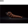 Godzilla Mothra 1992 - Figure Larva, Ichibansho