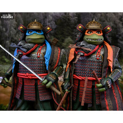 Teenage Mutant Ninja...