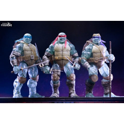 Teenage Mutant Ninja...