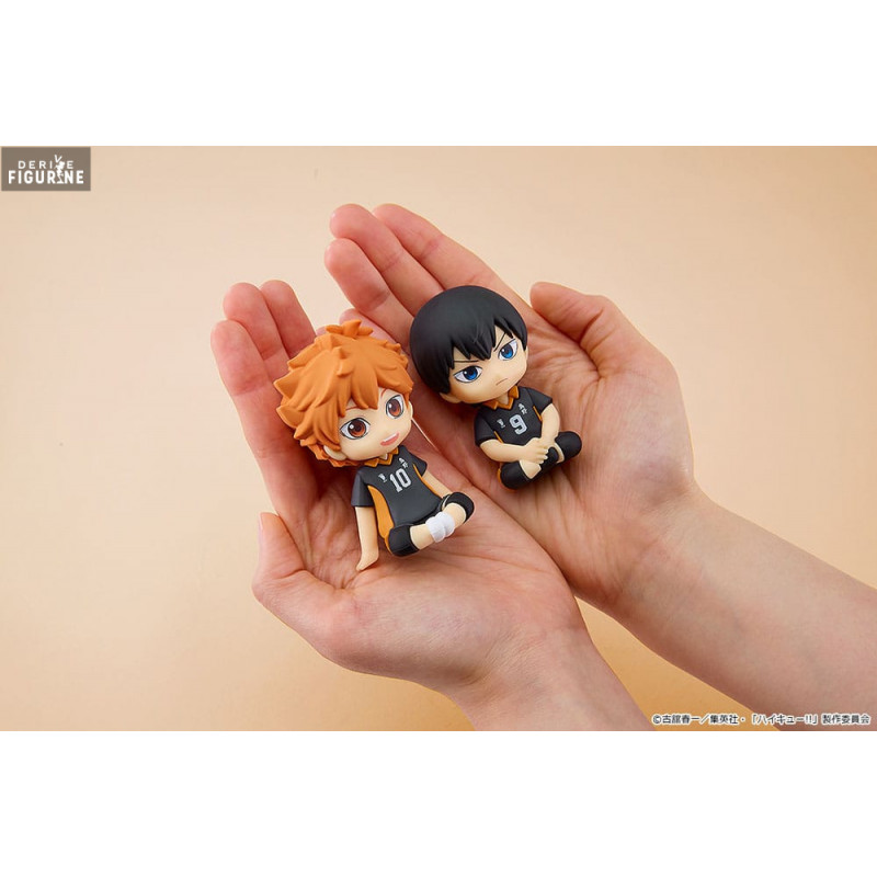 Haikyu!! - Figurine Shoyo...