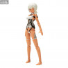 Frame Arms Girl - Figurine Laetitia Silver, Plastic Model Kit