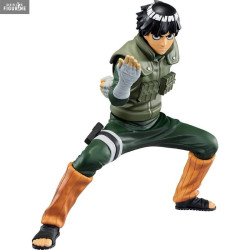 Naruto Shippuden - Rock Lee...