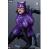 DC Comics - Catwoman figure (Purple Edition)