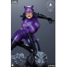 DC Comics - Catwoman figure (Purple Edition)