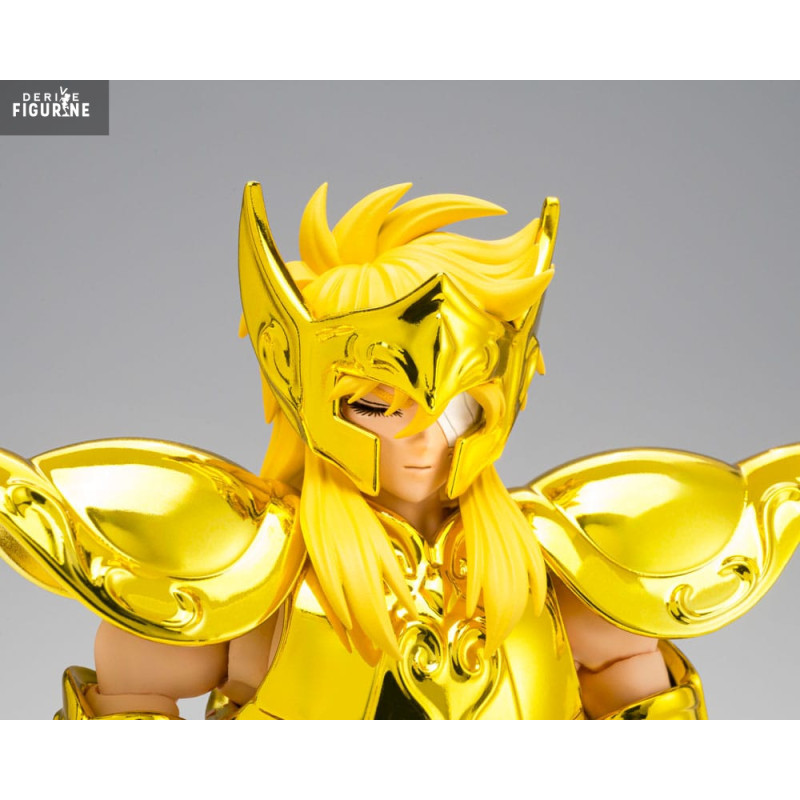 Saint Seiya - Aquarius...