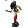DC Comics - Figure Wonder Woman, Fantasy Figure Gallery