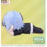 The Colorful Stage! The Movie: A Miku Who Can't Sing - Aoyagi Toya plush, Nesoberi Lay-Down