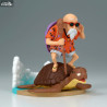 Dragon Ball - Kamesennin figure, History Box