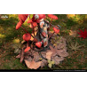The Mushroom Girls - Figurine No.6 Marasmius Haematocephalus