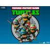 Les Tortues Ninja - Figurine Raphael, Mini Co