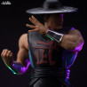 Mortal Kombat - Kung Lao figure, Art Scale