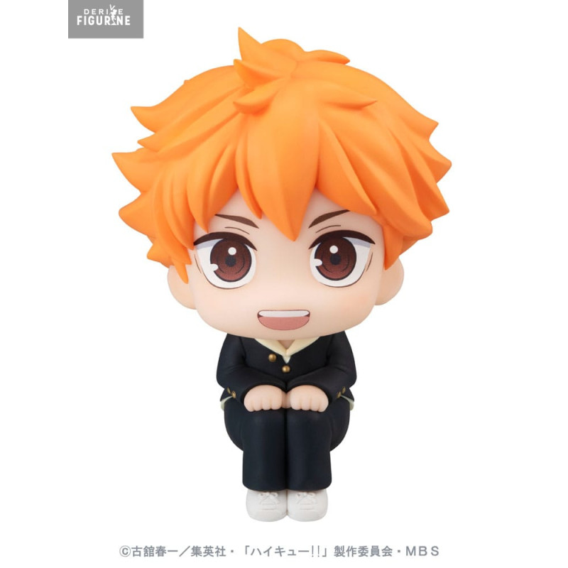 Haikyu!! - Figurine Shoyo...