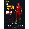 DC Comics - Figurine The Flash, Dynamic Action Heroes