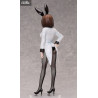 A Ninja and an Assassin Under One Roof - Konoha Koga figure Bunny, B-style