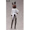 A Ninja and an Assassin Under One Roof - Konoha Koga figure Bunny, B-style