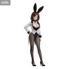 A Ninja and an Assassin Under One Roof - Konoha Koga figure Bunny, B-style
