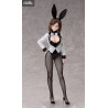 A Ninja and an Assassin Under One Roof - Konoha Koga figure Bunny, B-style