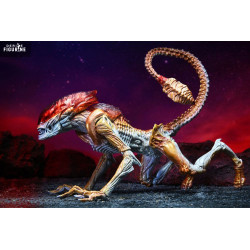 Aliens - Panther Alien...