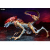 Aliens - Figurine Panther Alien, Kenner Tribute