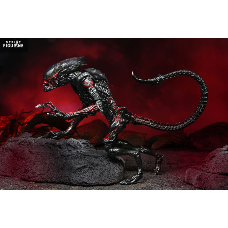 Aliens - Figurine Night...