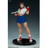 Street Fighter - Sakura figure ver. Classic or Gym