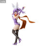 A Ninja and an Assassin Under One Roof - Satoko Kusagakure figure Bunny, B-style