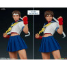Street Fighter - Figurine Sakura ver. Classique ou Gym