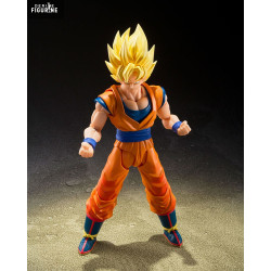 PRÉCOMMANDE - Dragon Ball Z...