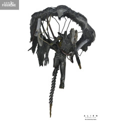 PRÉCOMMANDE - Alien:...