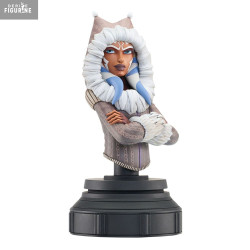 PRÉCOMMANDE - Star Wars:...