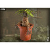 Harry Potter - Mandrake figure, Magical Creatures