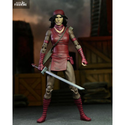 PRE ORDER - Teenage Mutant...