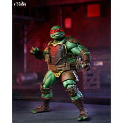 Teenage Mutant Ninja...