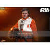Star Wars - Figure Poe Dameron
