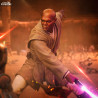 PRE ORDER - Star Wars - Figure Mace Windu, Art Scale