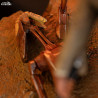 PRE ORDER - Star Wars - Figure Mace Windu, Art Scale