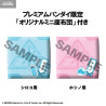 Blue Archive - Pack figures Sunaookami Shiroko & Takanashi Hoshino, Look Up (with gift)