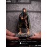 The Lord of the Rings - Frodo Baggins figure, BDS Art Scale