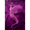 Arcanadea - Meltina figure, Plastic Model Kit