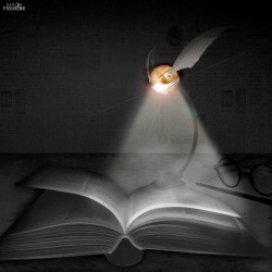 Lampe LED Clip-On Harry...
